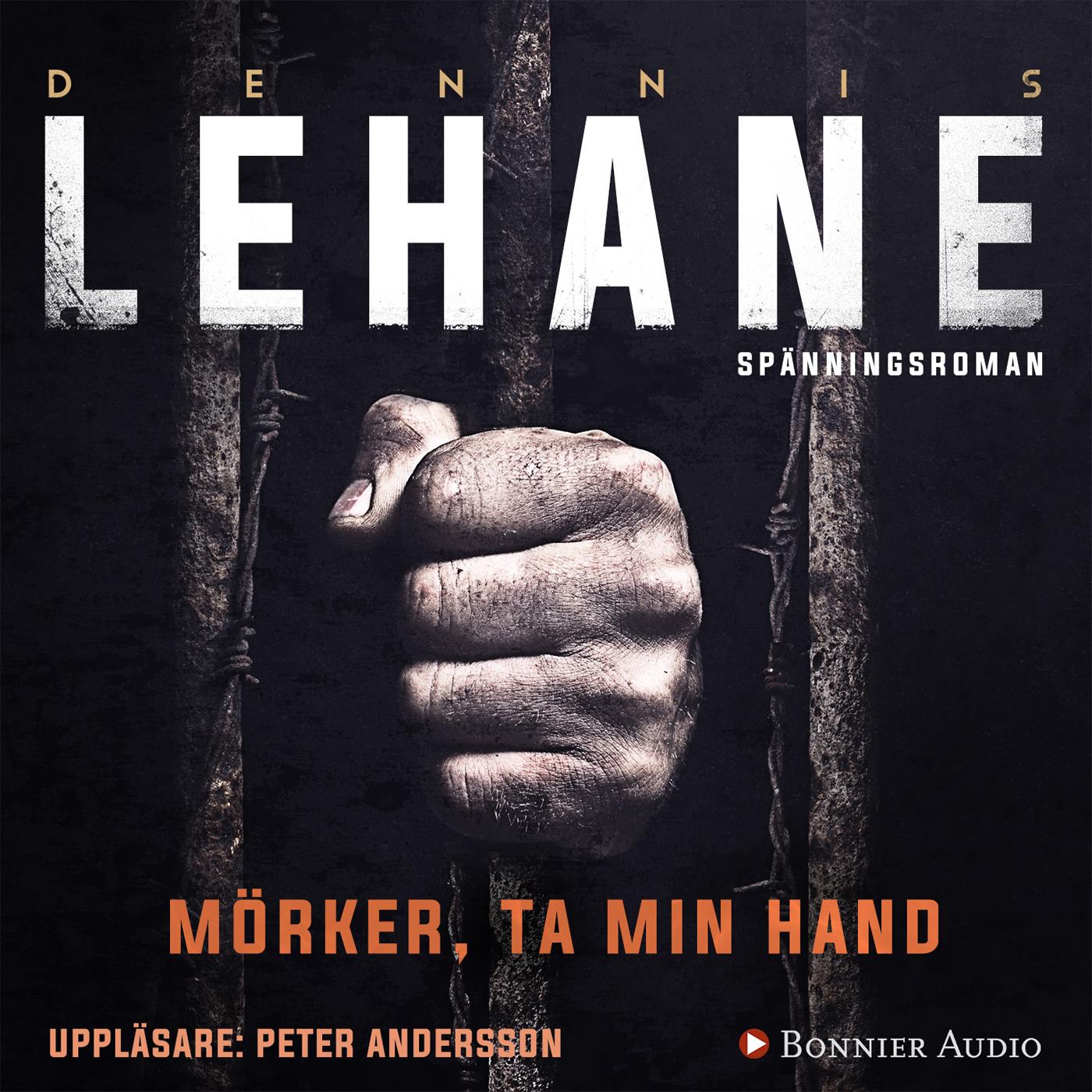 Mörker, ta min hand – Ljudbok