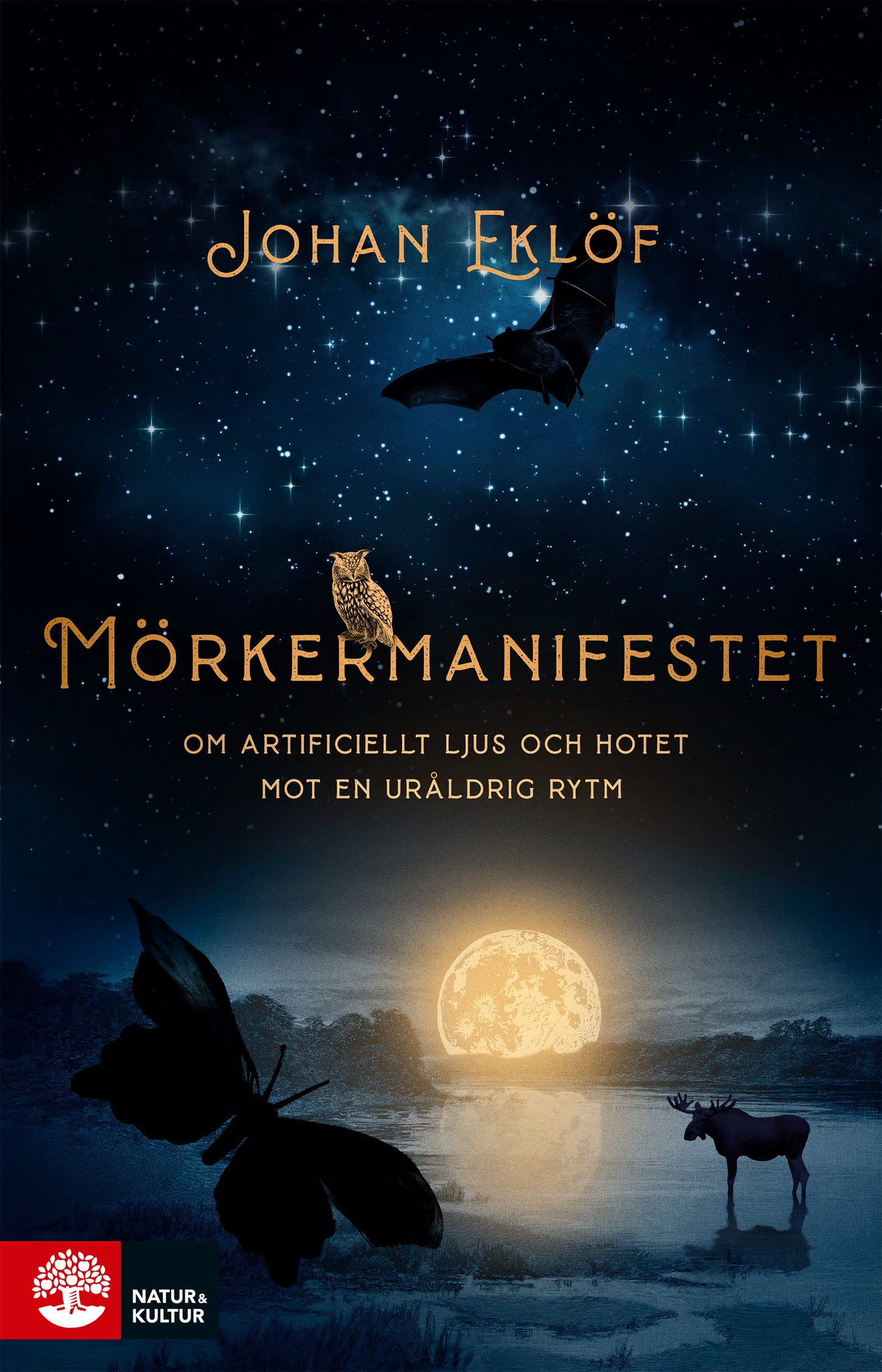 Mörkermanifestet : om artificiellt ljus och hotet mot en ursprunglig rytm – E-bok