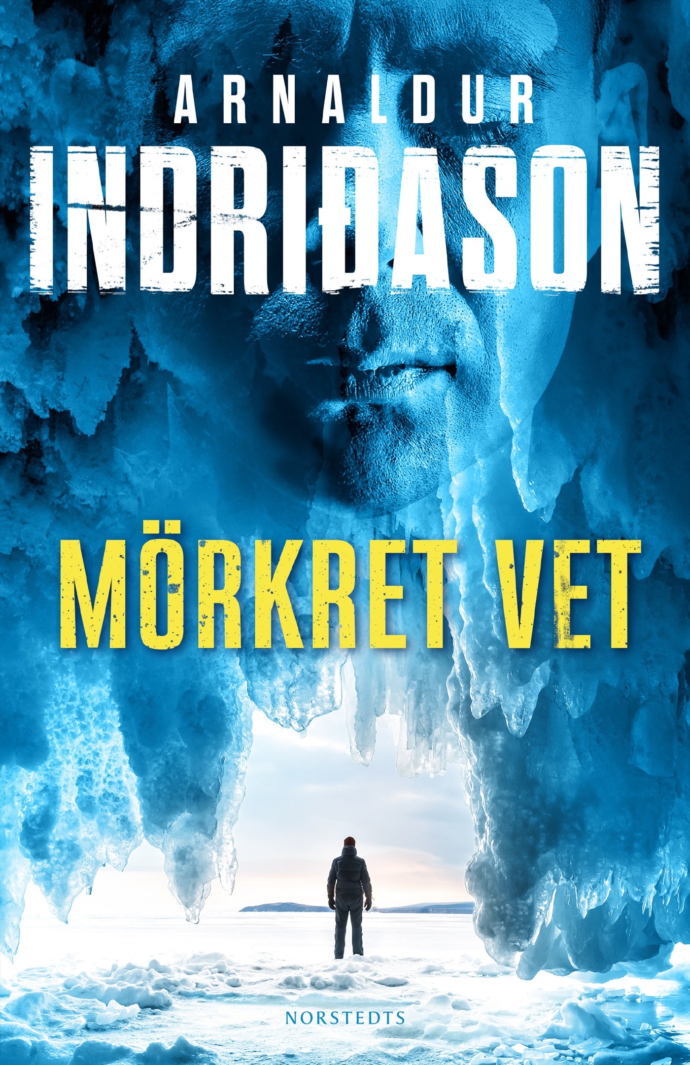 Mörkret vet – E-bok
