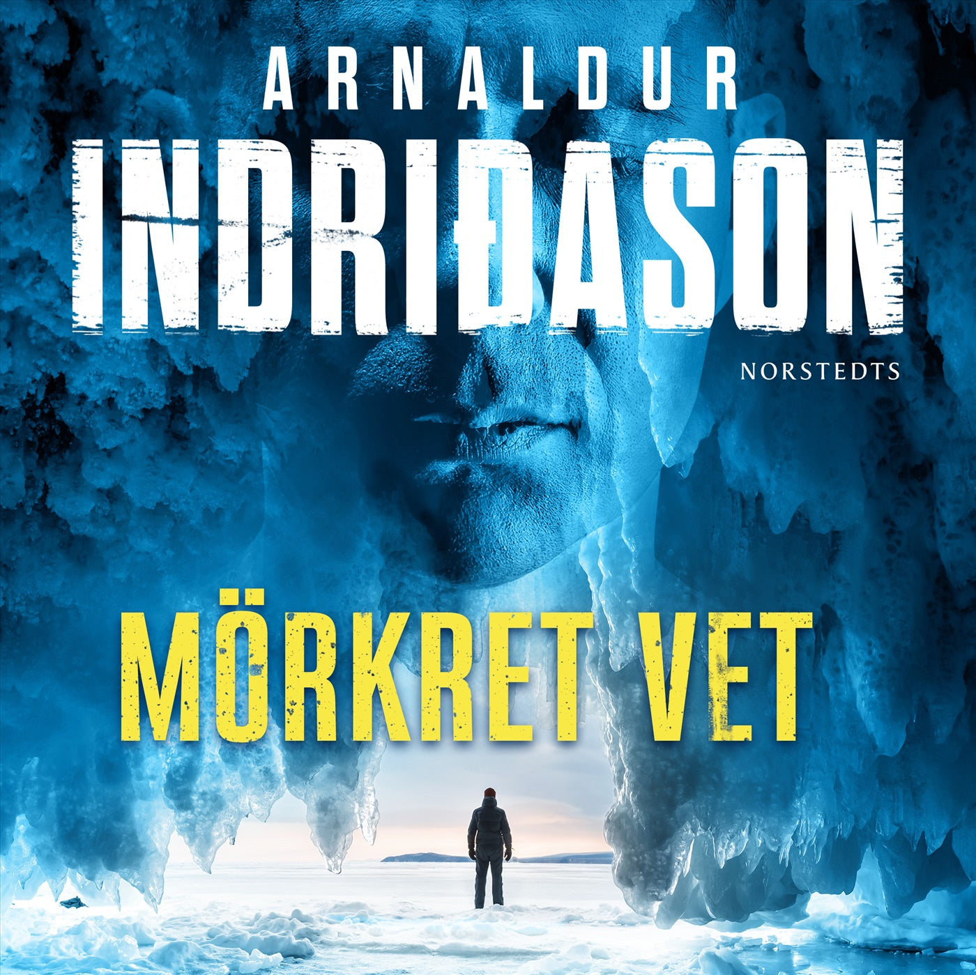 Mörkret vet – Ljudbok