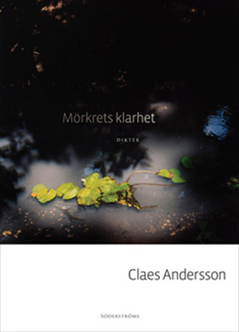 Mörkrets klarhet – E-bok