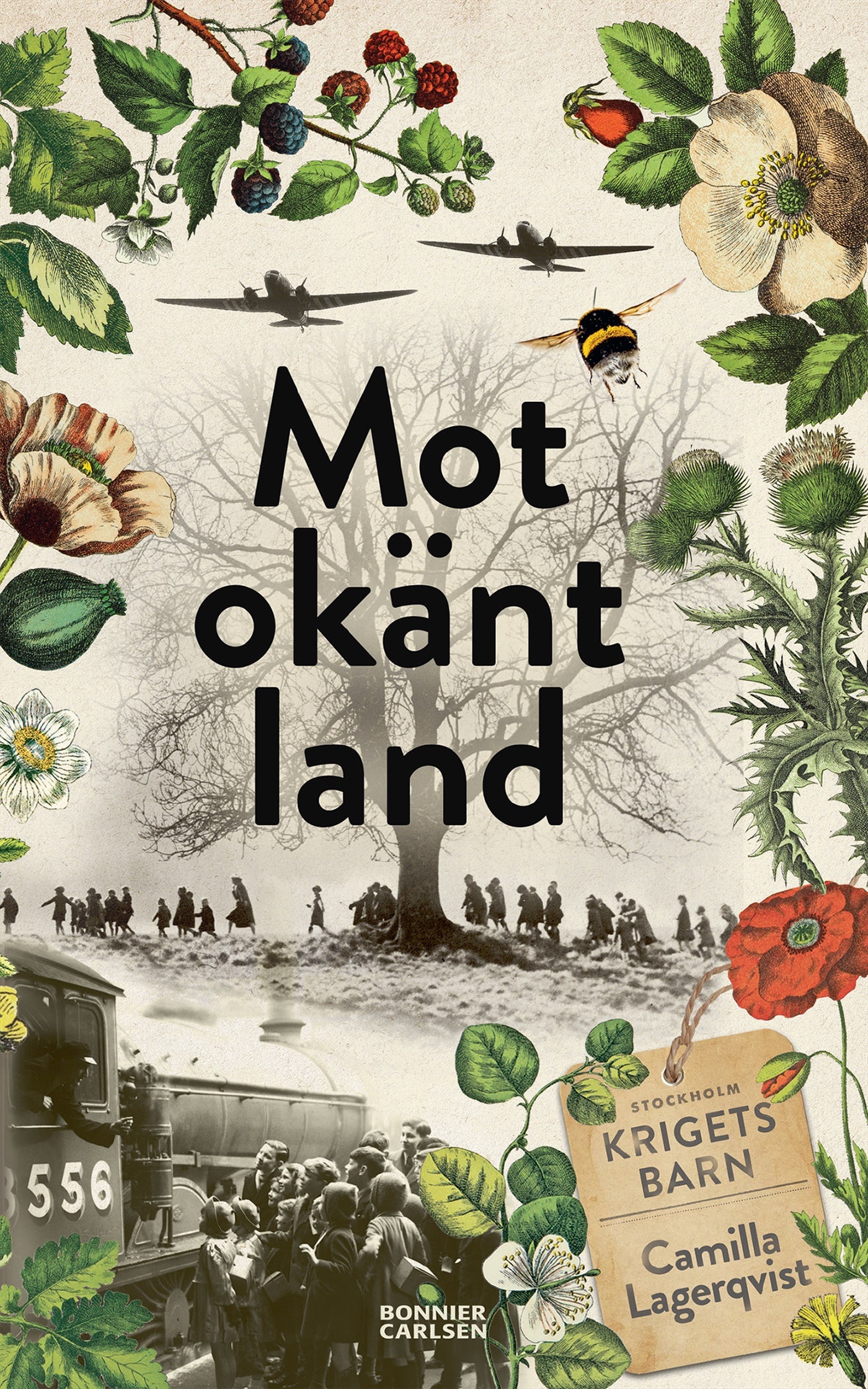 Mot okänt land – E-bok
