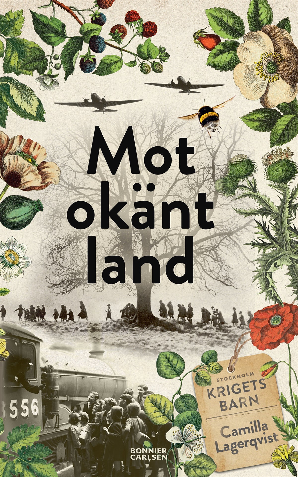 Mot okänt land – E-bok