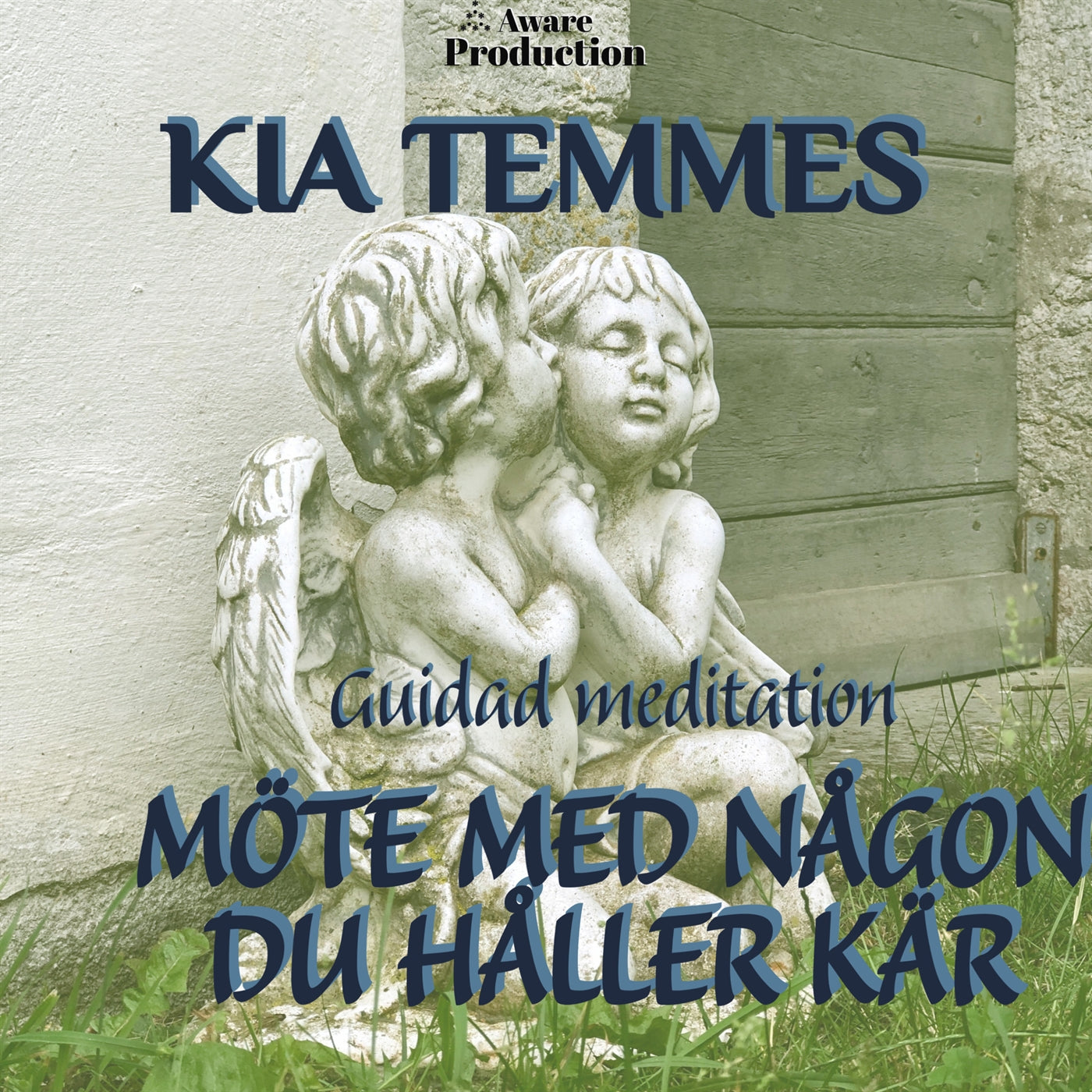 Möte med någon du håller kär, guidad meditation – Ljudbok