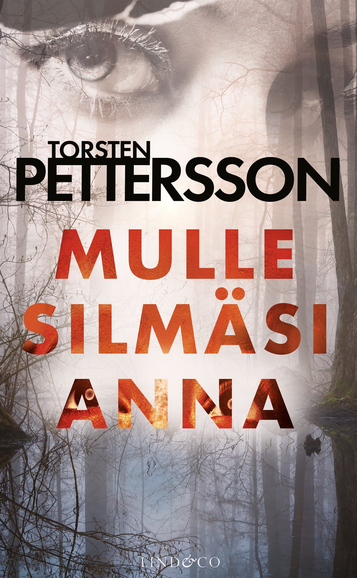 Mulle silmäsi anna – E-bok