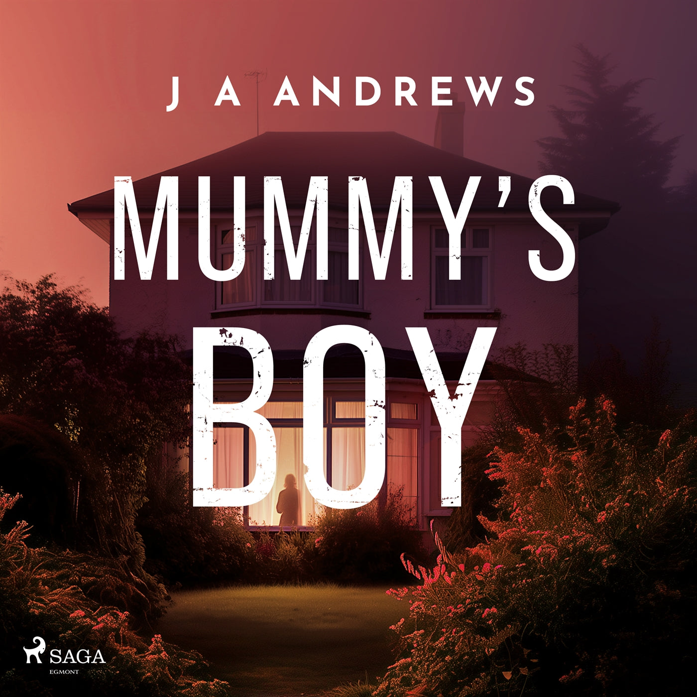 Mummy's Boy: A dark domestic thriller about a mother haunted by her son's disappearance – Ljudbok