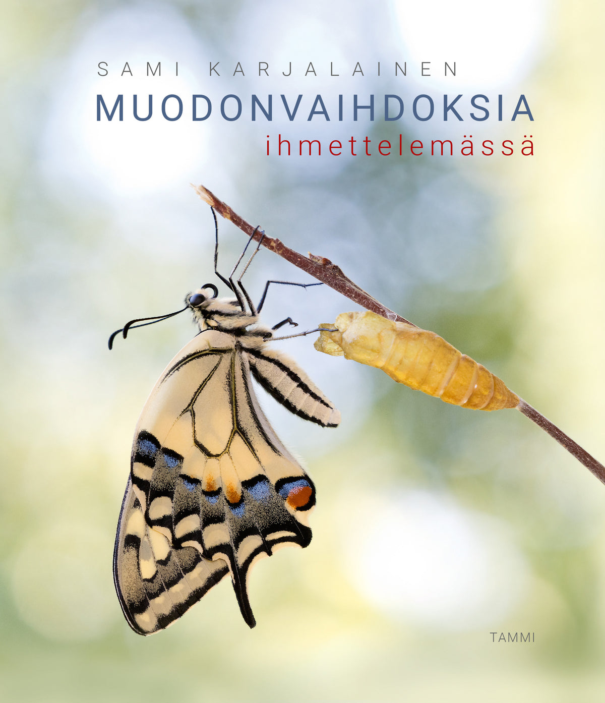 Muodonvaihdoksia ihmettelemässä – E-bok