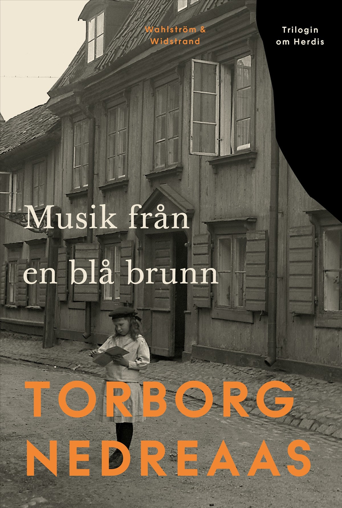Musik från en blå brunn – E-bok