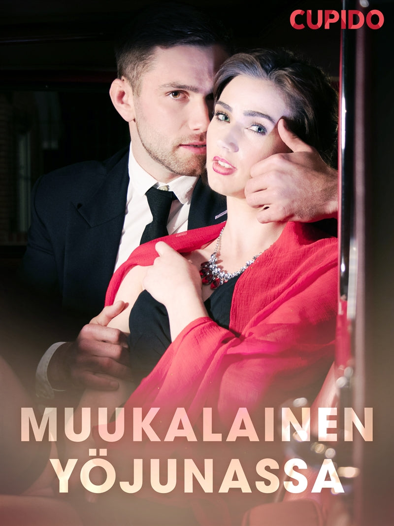 Muukalainen yöjunassa – E-bok