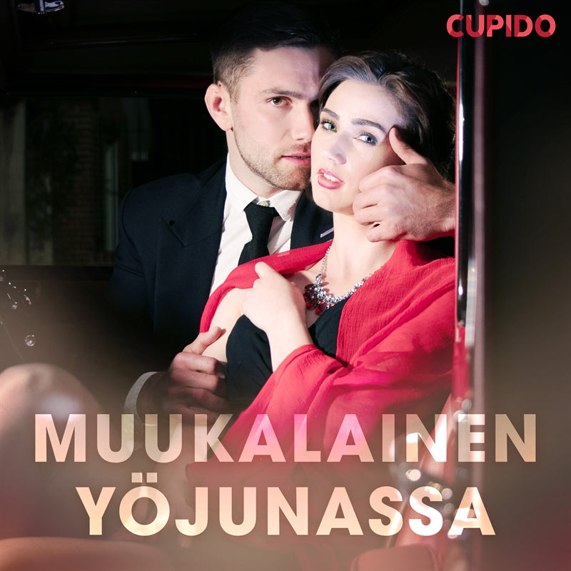 Muukalainen yöjunassa – Ljudbok
