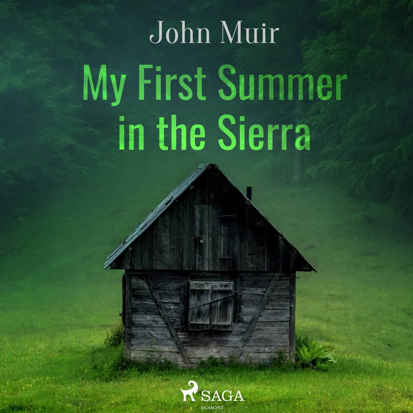 My First Summer in the Sierra – Ljudbok