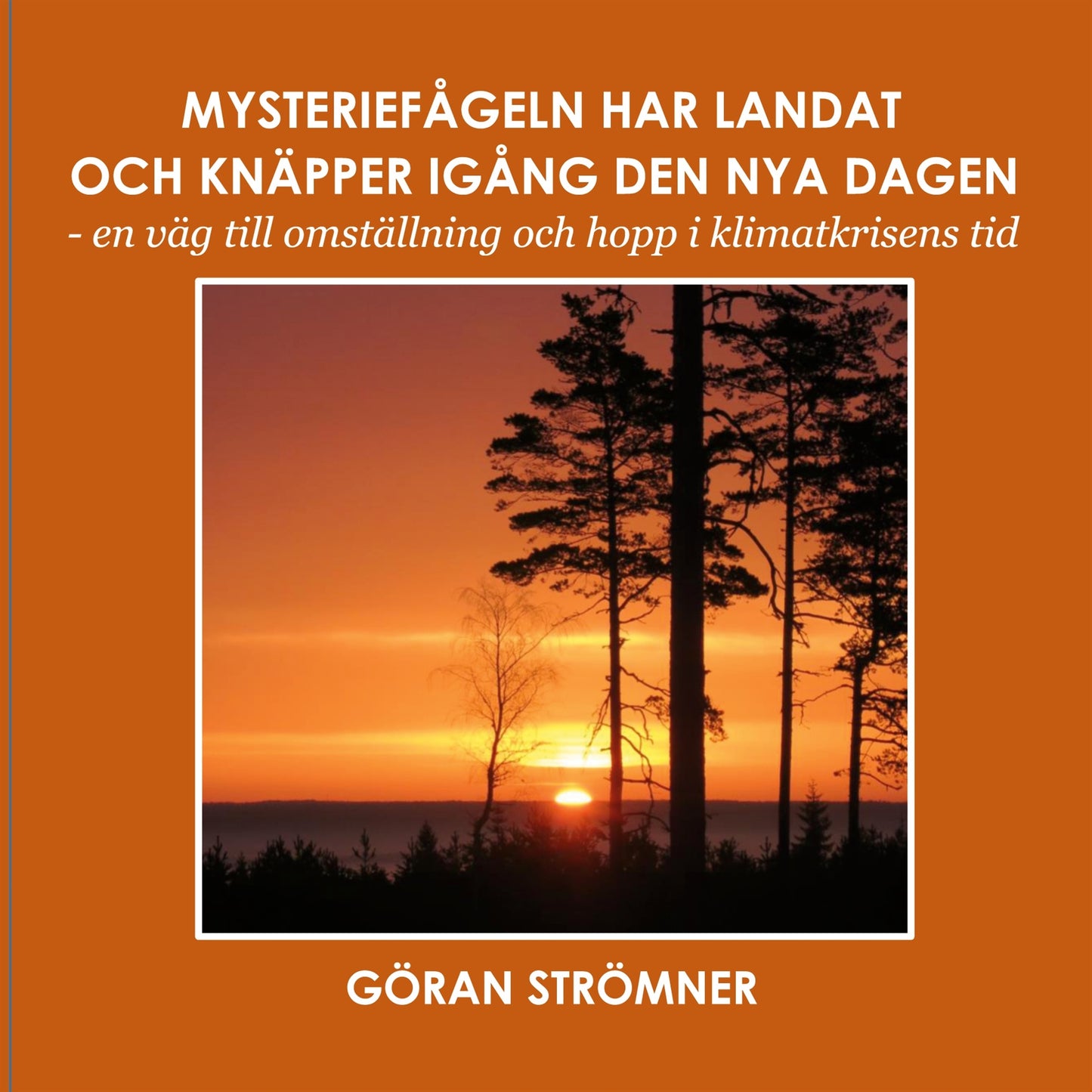 Mysteriefågeln har landat och knäpper igång den nya dagen: - en väg till omställning och hopp i klimatkrisens tid – E-bok