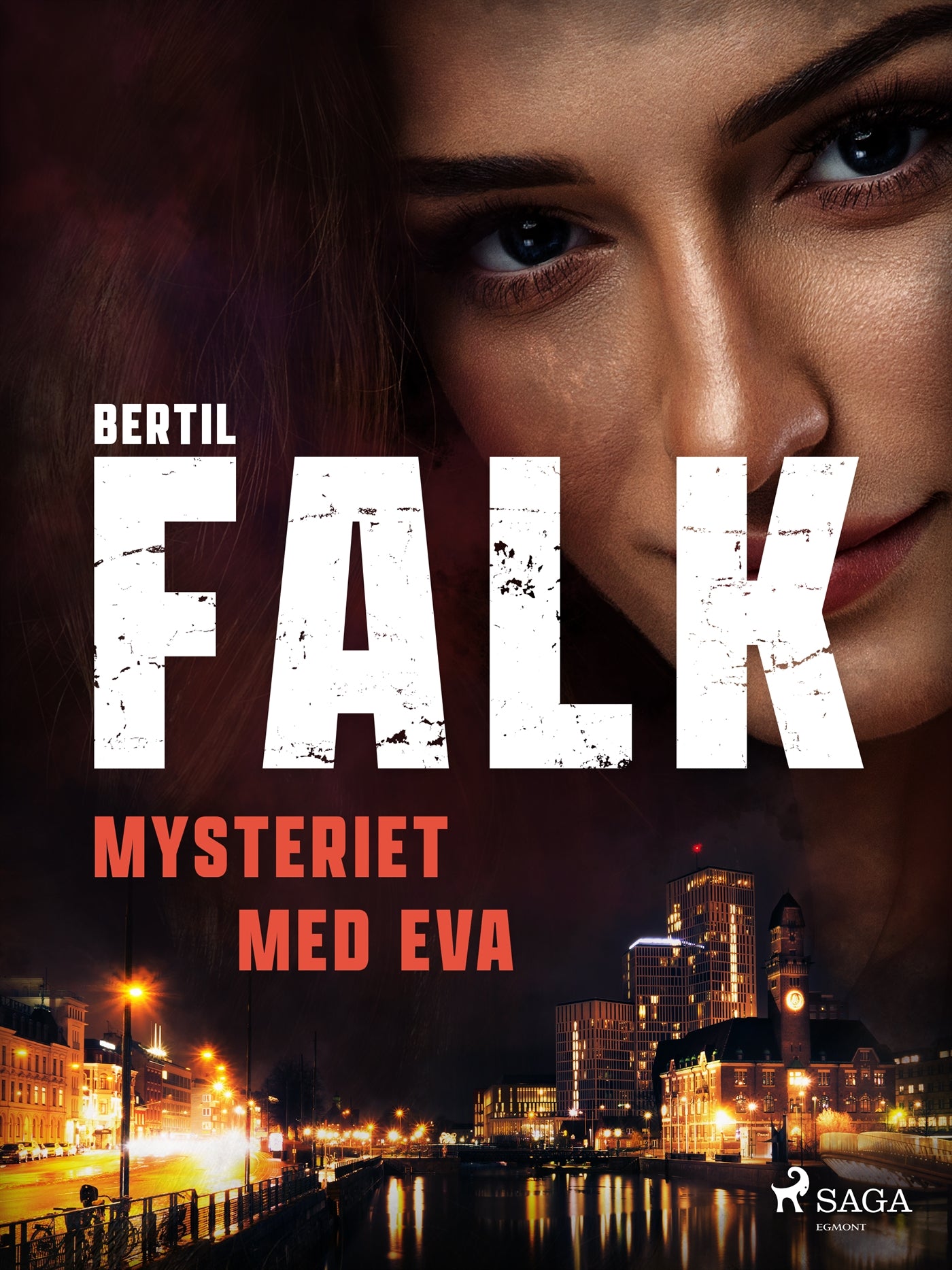 Mysteriet med Eva – E-bok