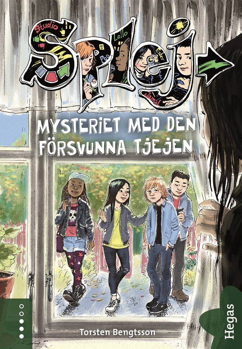 Mysteriet med den försvunna tjejen – E-bok