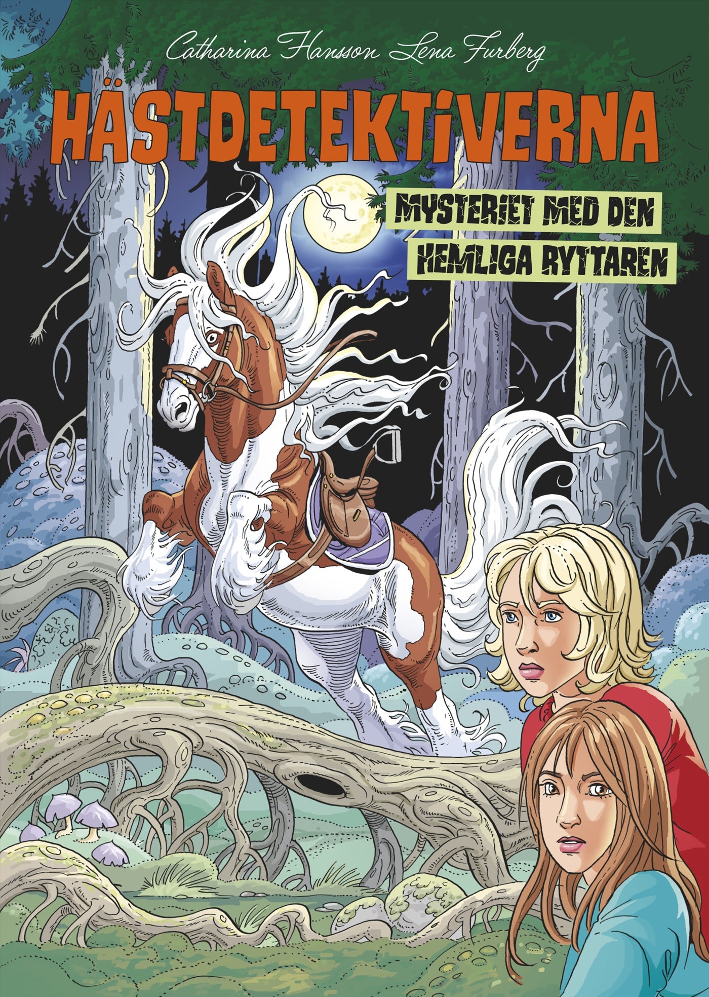Mysteriet med den hemliga ryttaren – E-bok