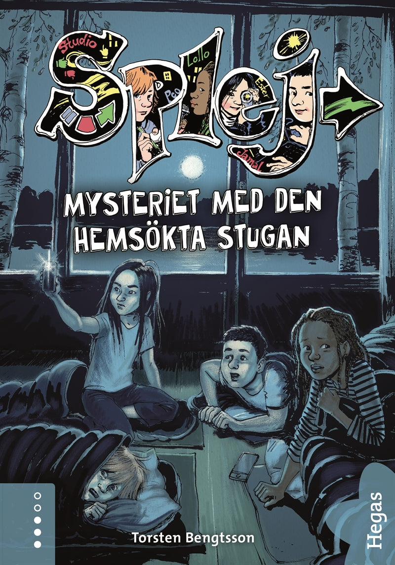 Mysteriet med den hemsökta stugan – E-bok