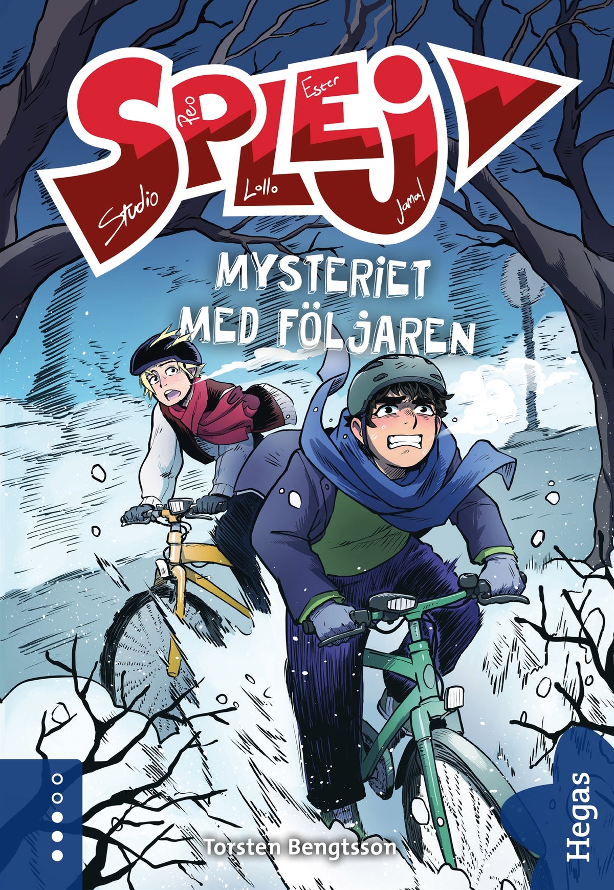 Mysteriet med följaren – E-bok