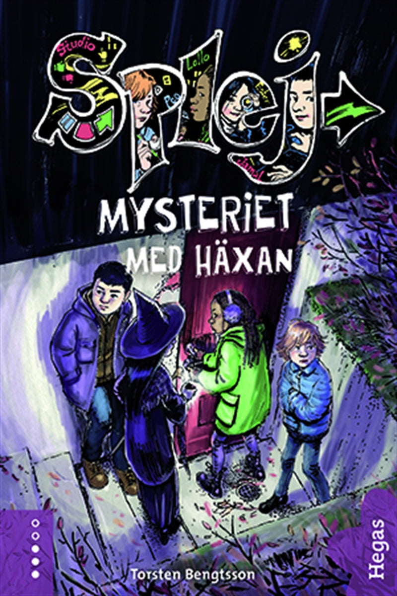 Mysteriet med häxan – E-bok
