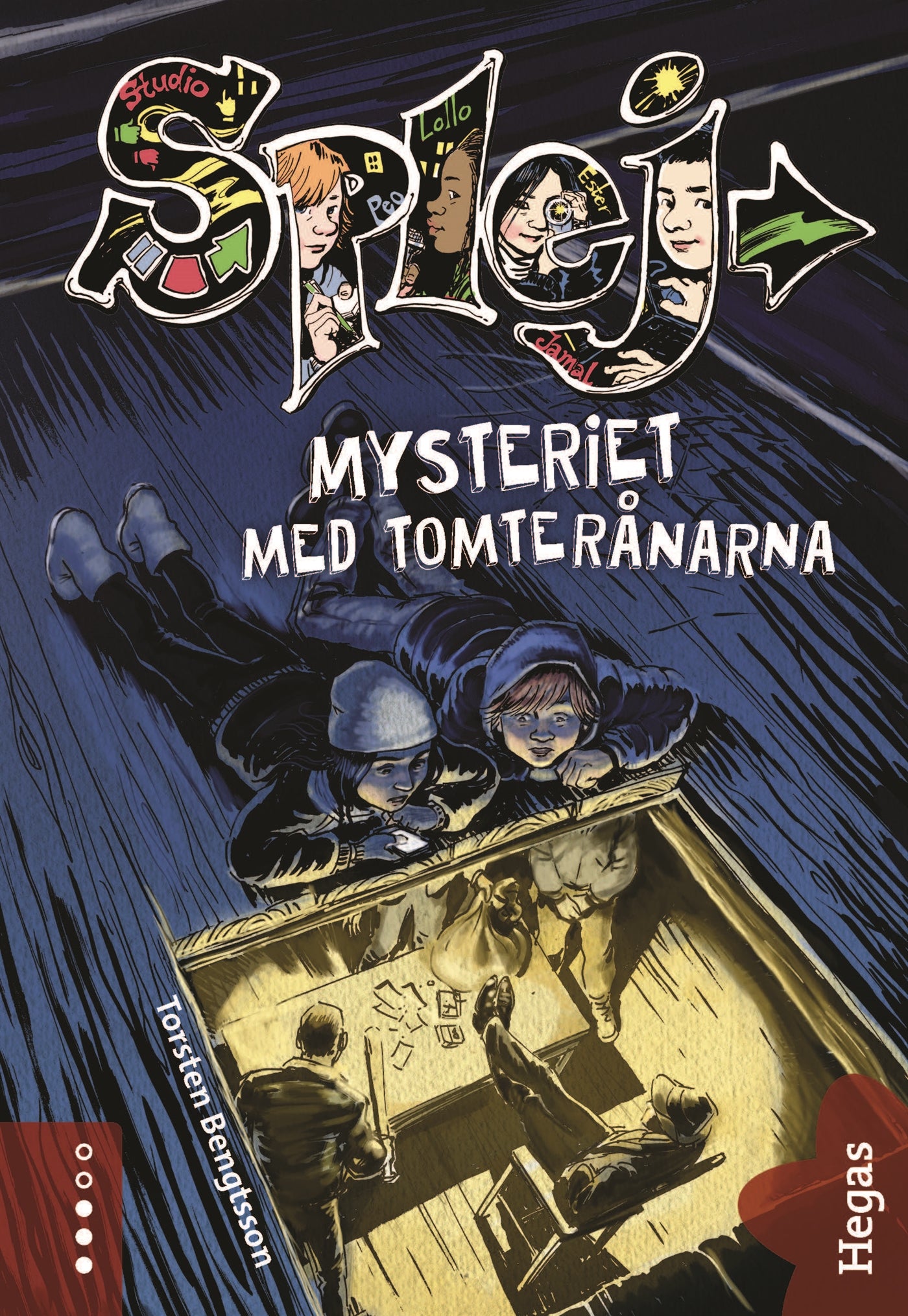 Mysteriet med tomterånarna – E-bok