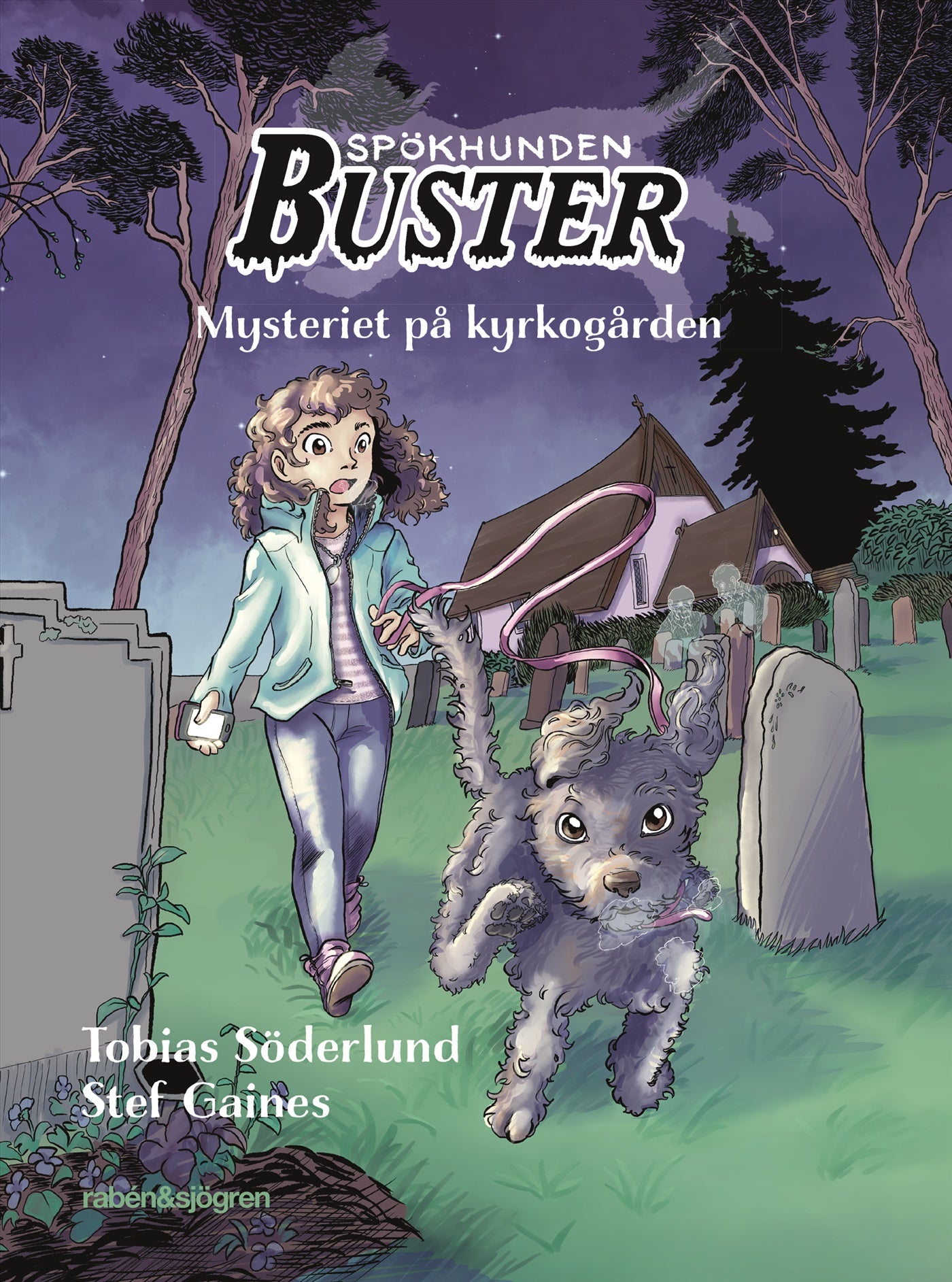 Mysteriet på kyrkogården – E-bok