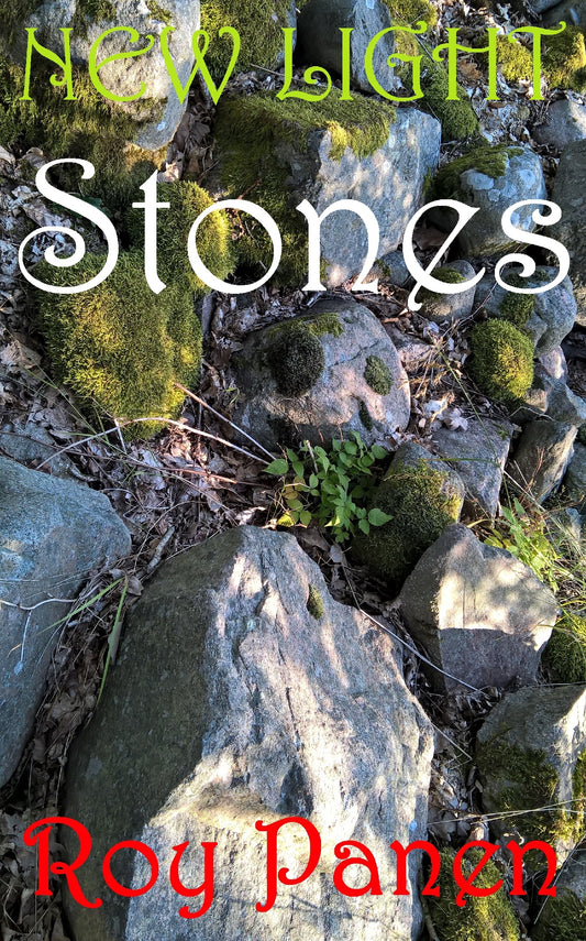 NEW LIGHT Stones – E-bok