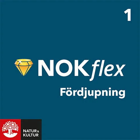 NOKflex Matematik - fördjupning Nivå 1 (kurs 5)