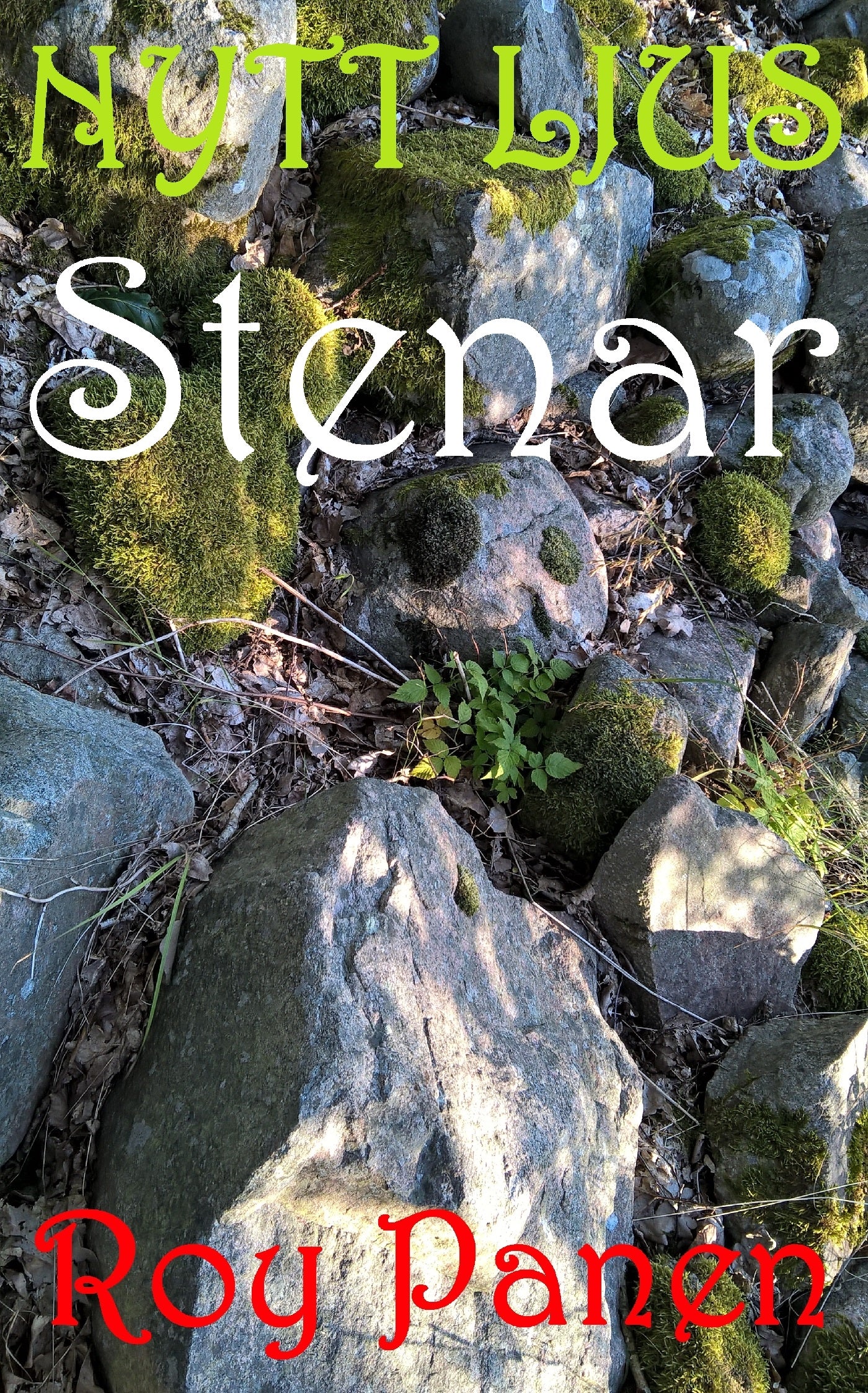 NYTT LJUS Stenar – E-bok