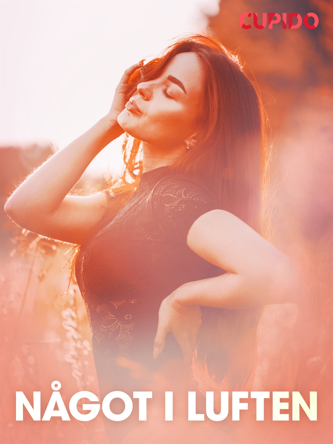 Något i luften - erotiska noveller – E-bok