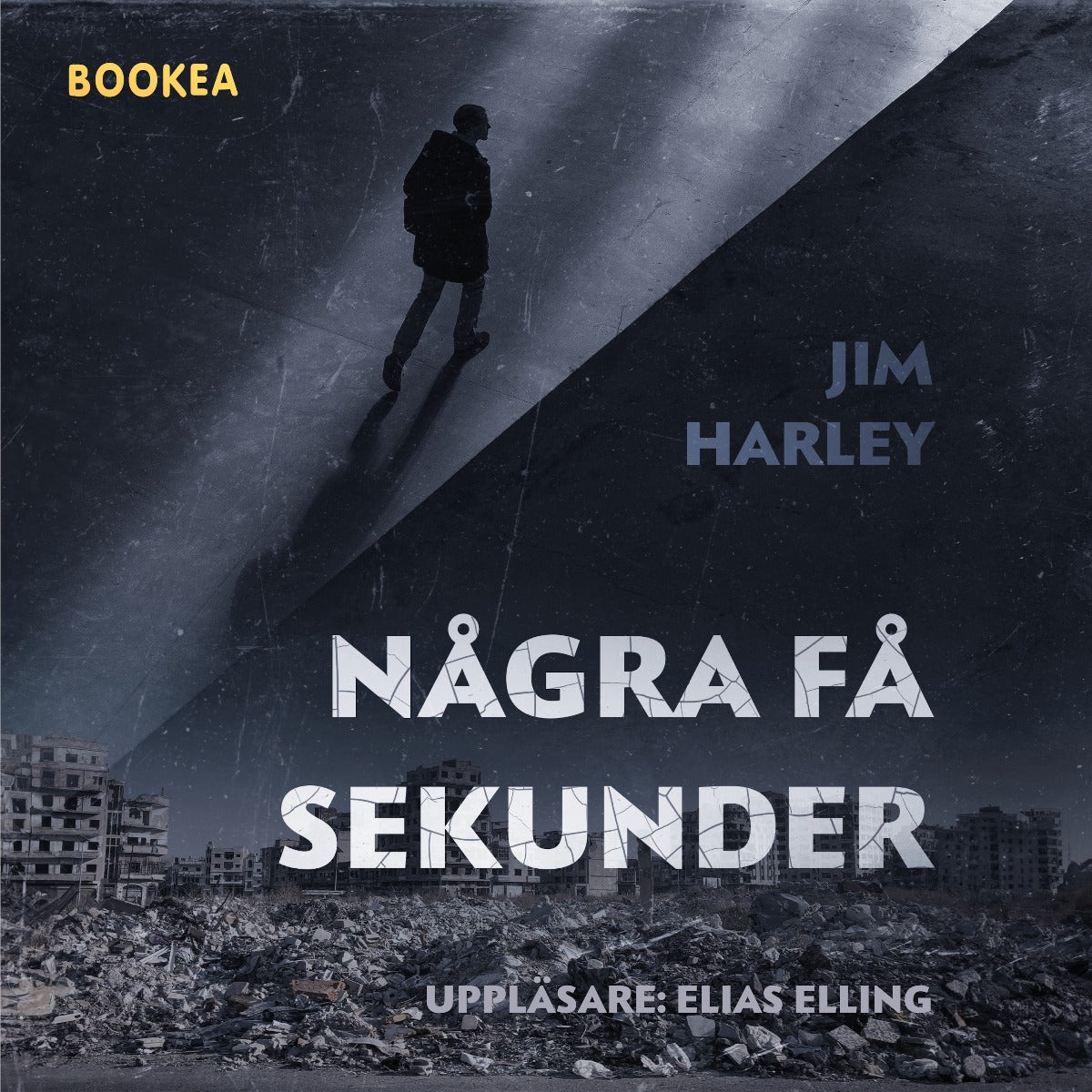 Några få sekunder – Ljudbok