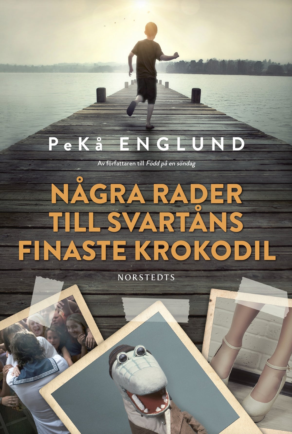 Några rader till Svartåns finaste krokodil – E-bok