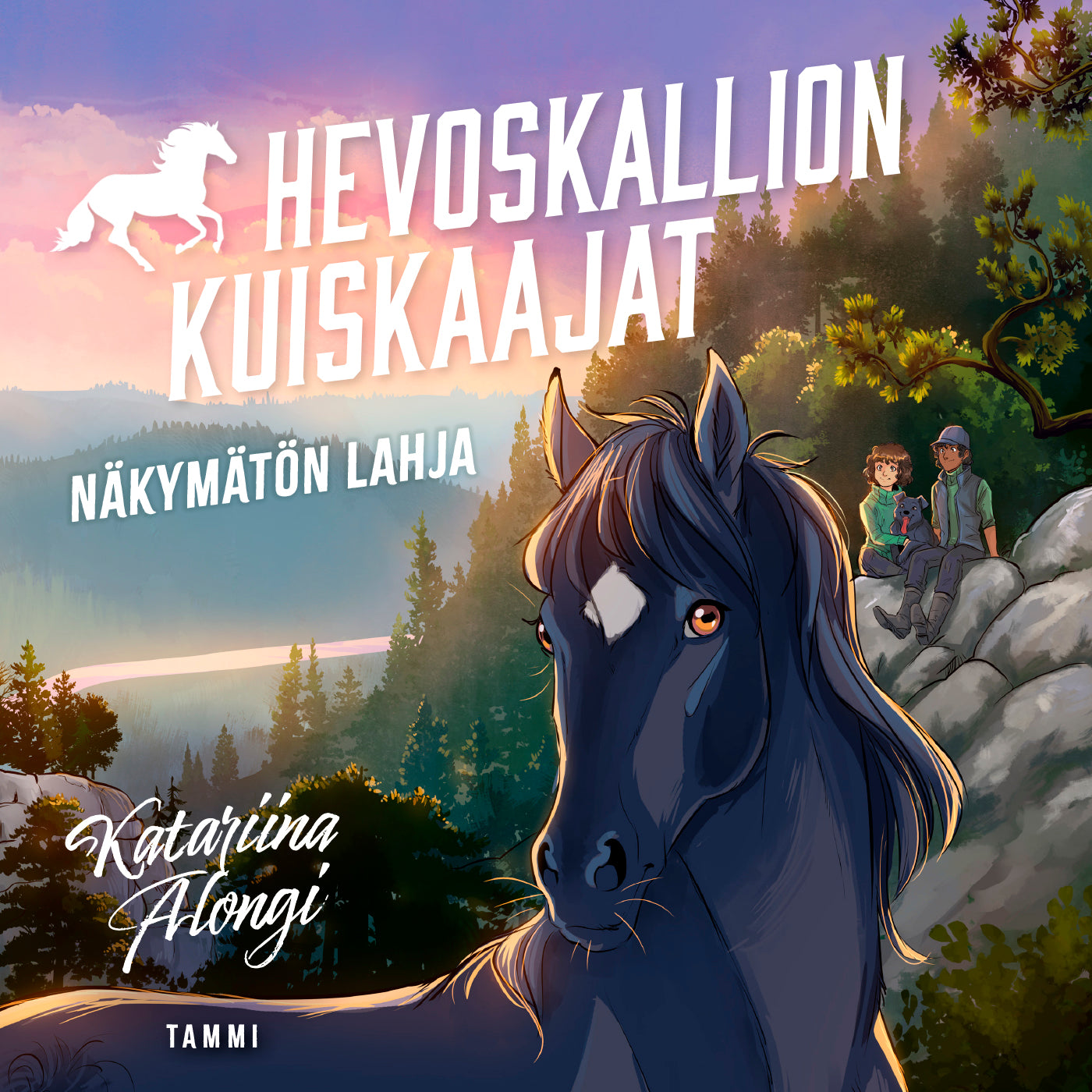 Näkymätön lahja – Ljudbok