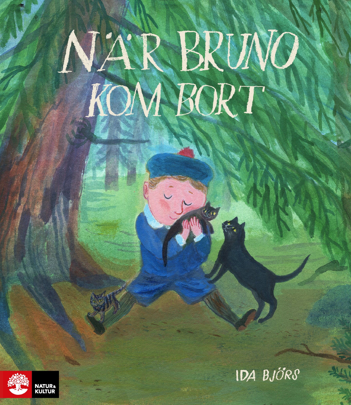 När Bruno kom bort – E-bok
