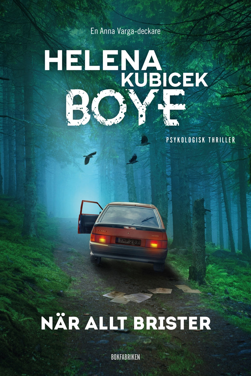 När allt brister – E-bok