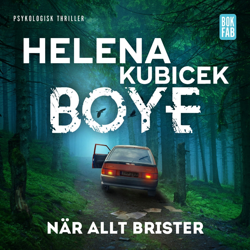 När allt brister – Ljudbok