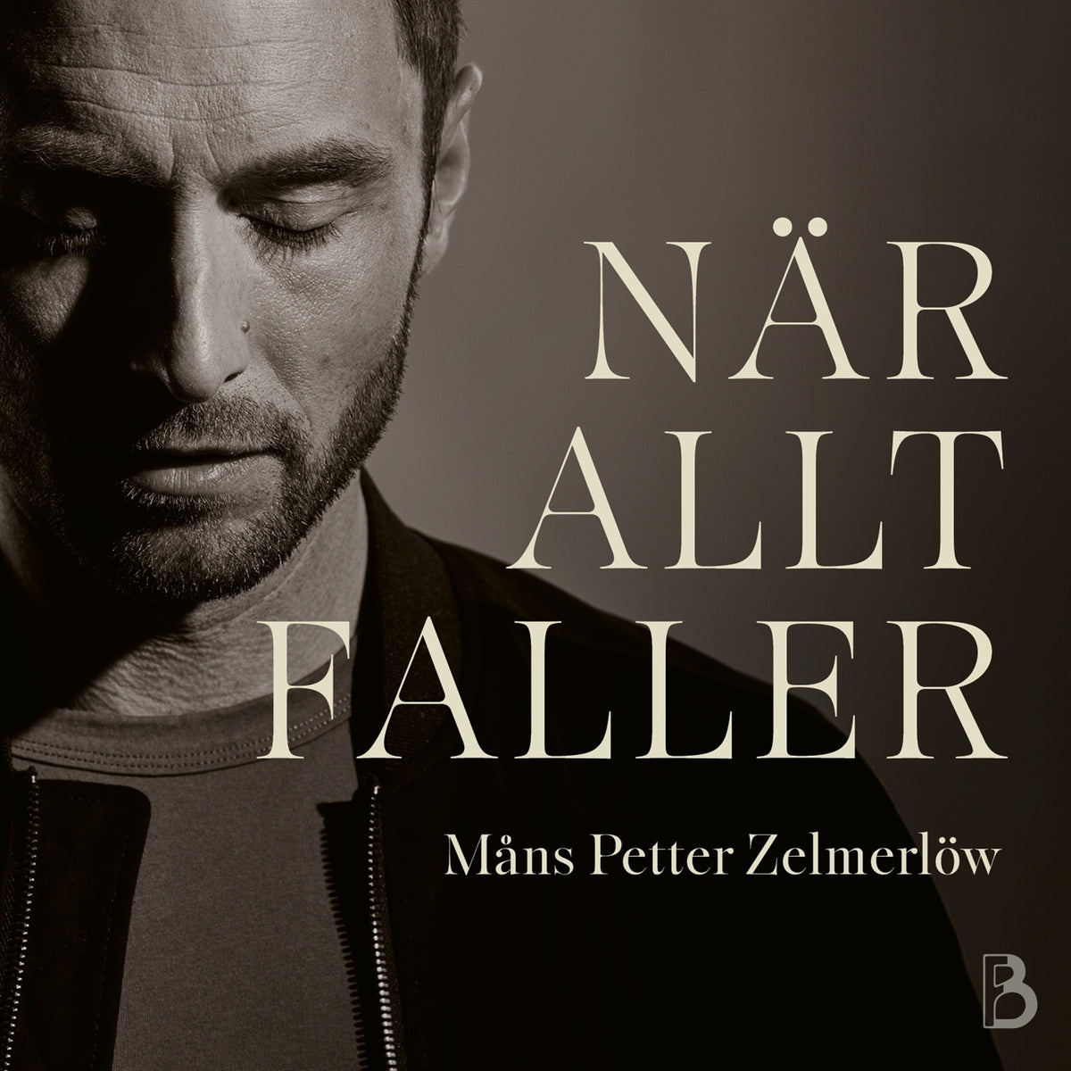 När allt faller – Ljudbok