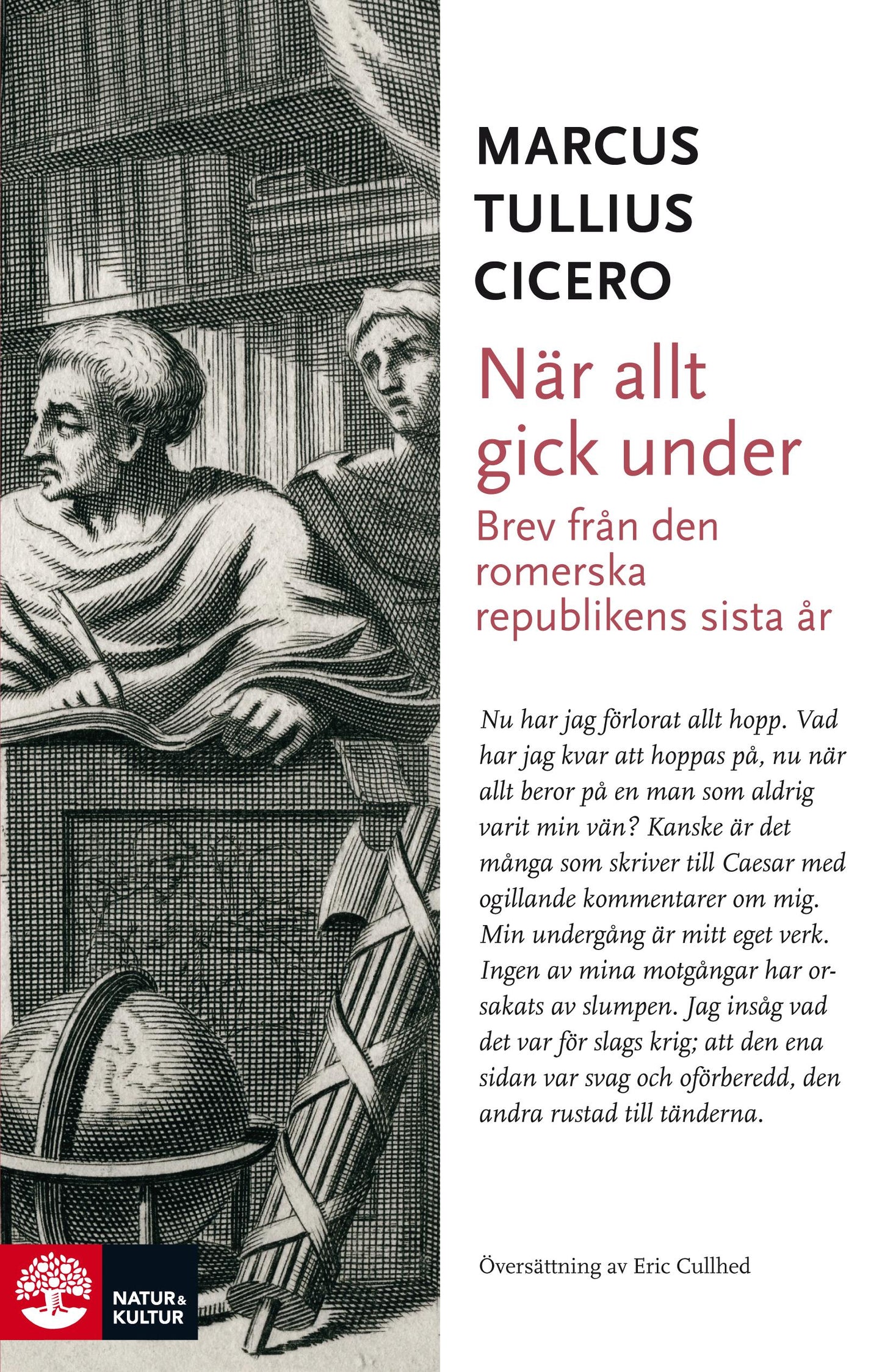 När allt gick under : brev från romerska republikens sista år – E-bok