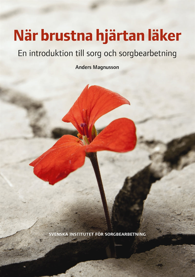 När brustna hjärtan läker : en introduktion till sorg och sorgbearbetning – E-bok