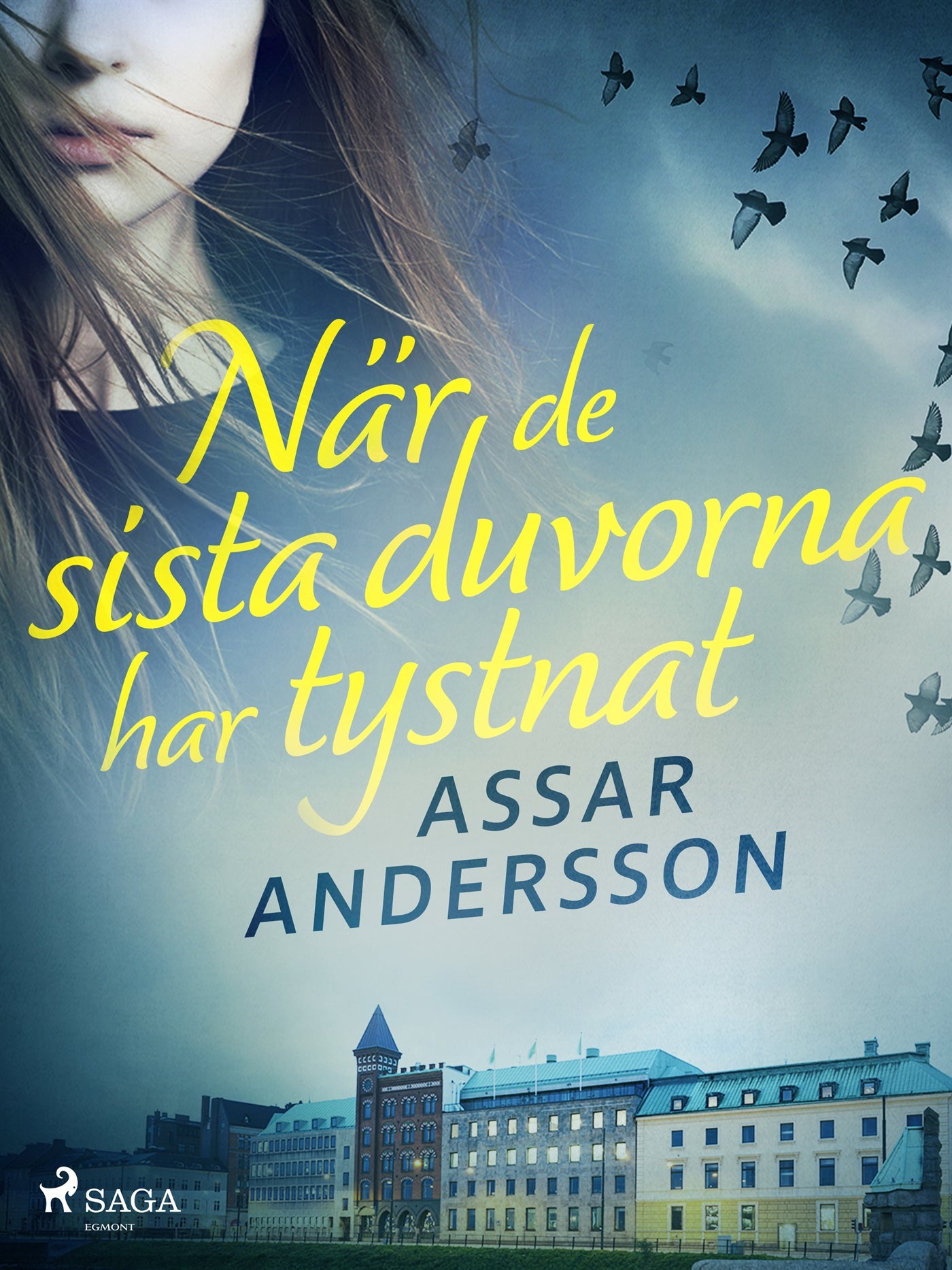 När de sista duvorna har tystnat – E-bok