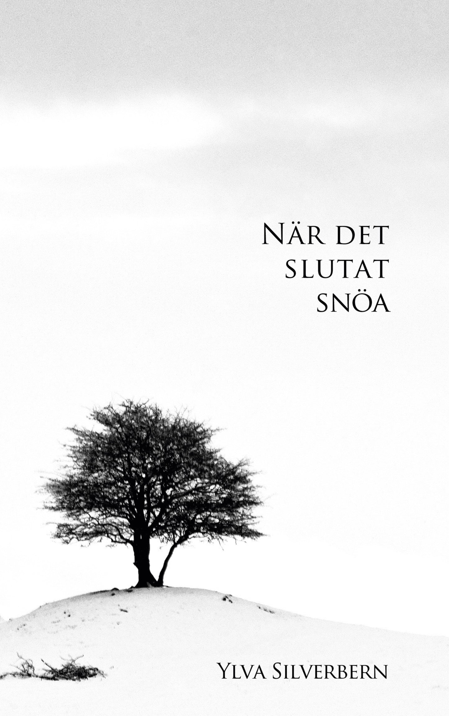När det slutat snöa – E-bok