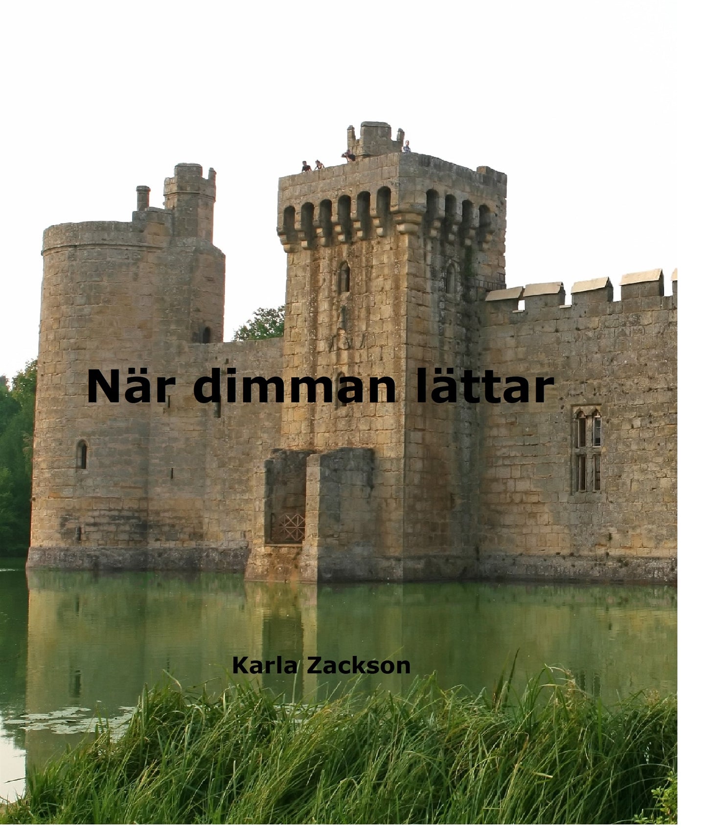 När dimman lättar – E-bok