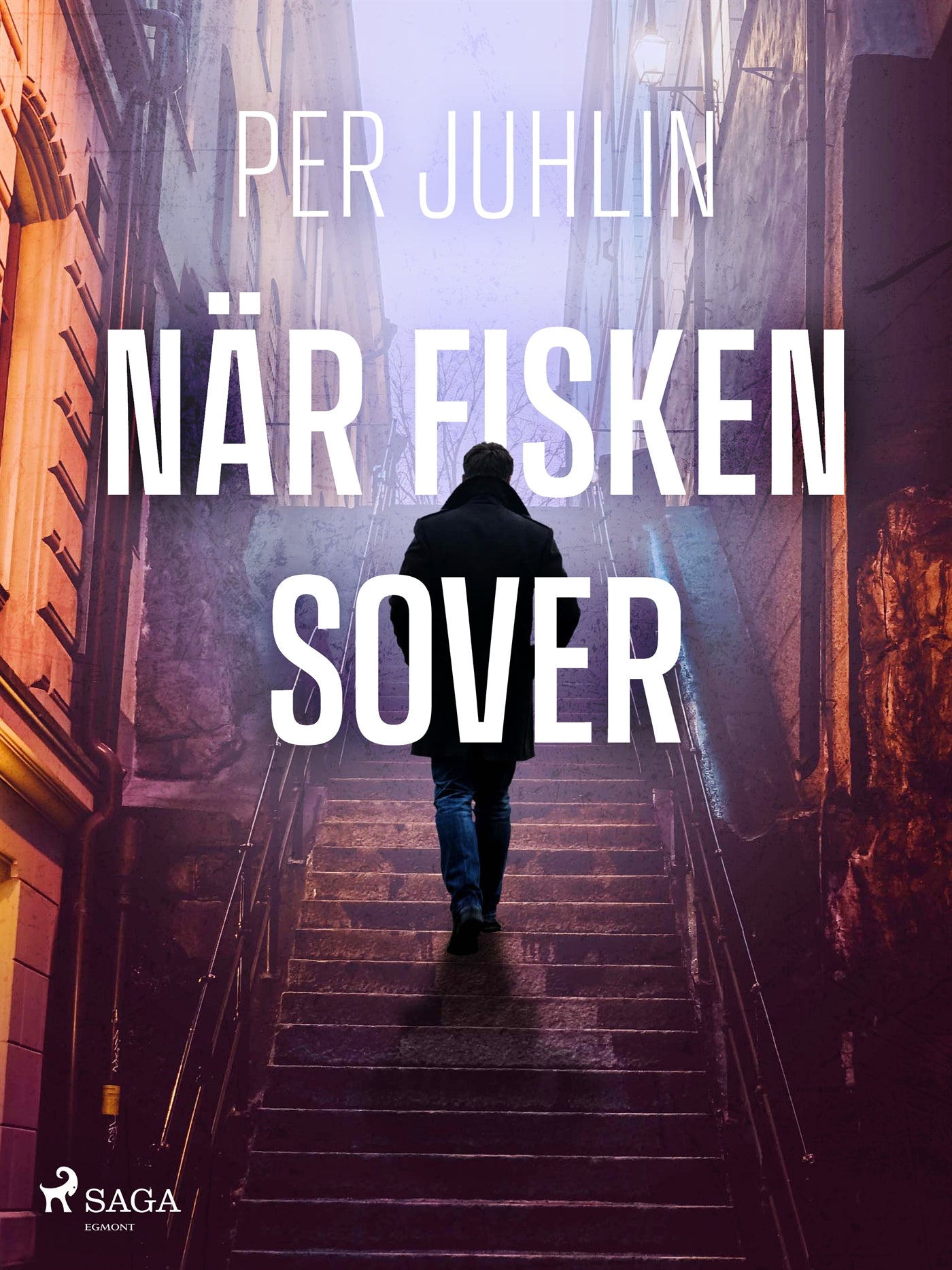 När fisken sover – E-bok