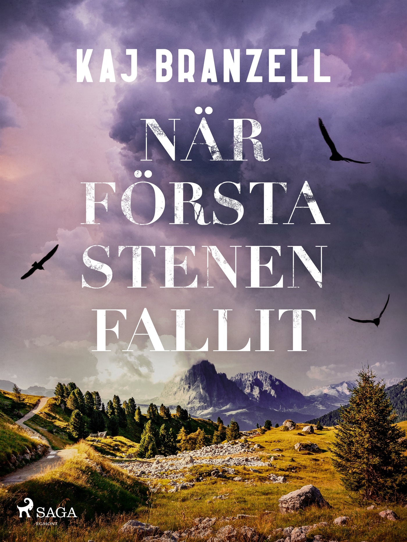 När första stenen fallit – E-bok