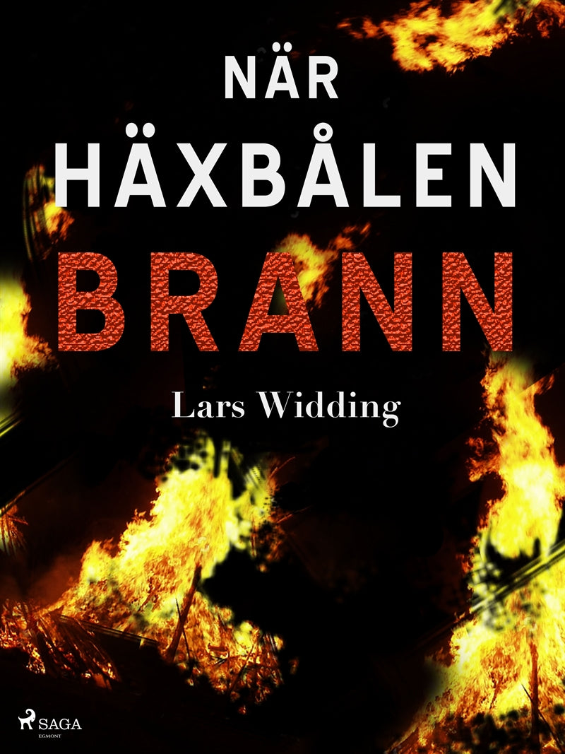 När häxbålen brann – E-bok