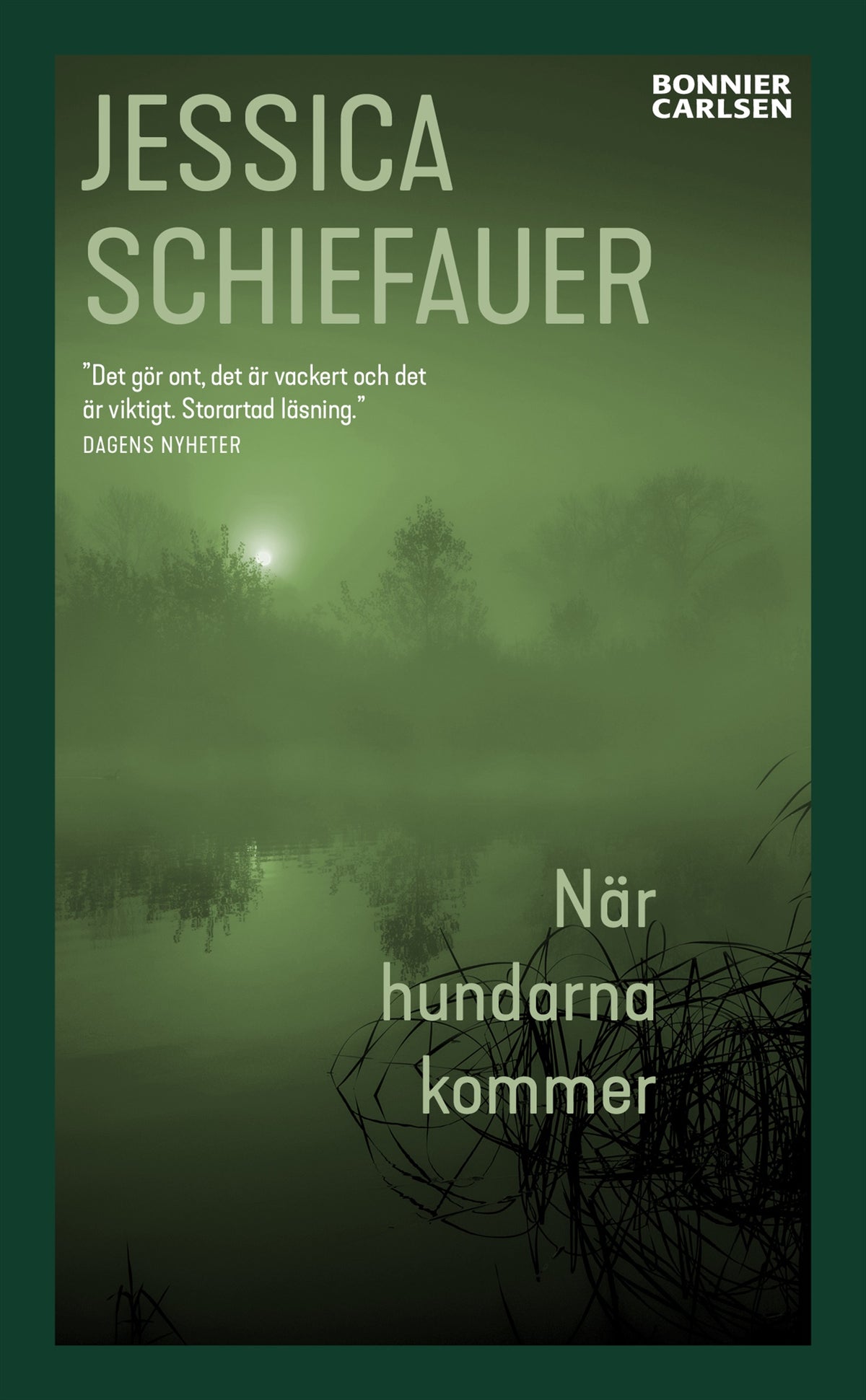När hundarna kommer – E-bok