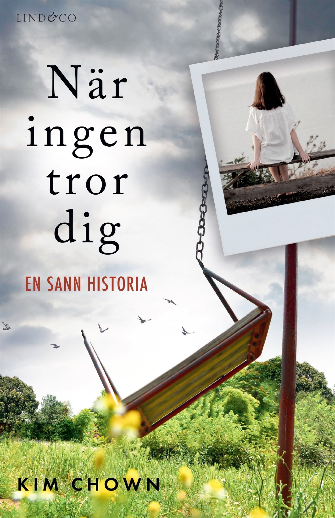 När ingen tror dig – E-bok