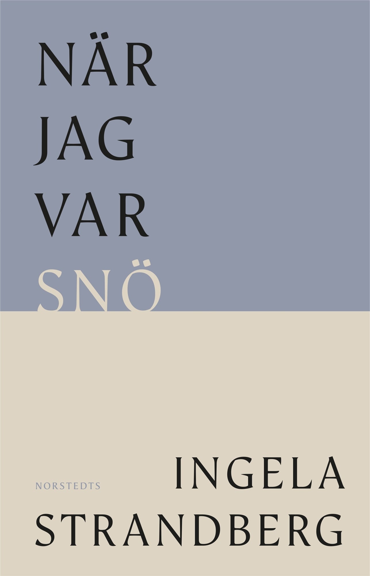 När jag var snö – E-bok