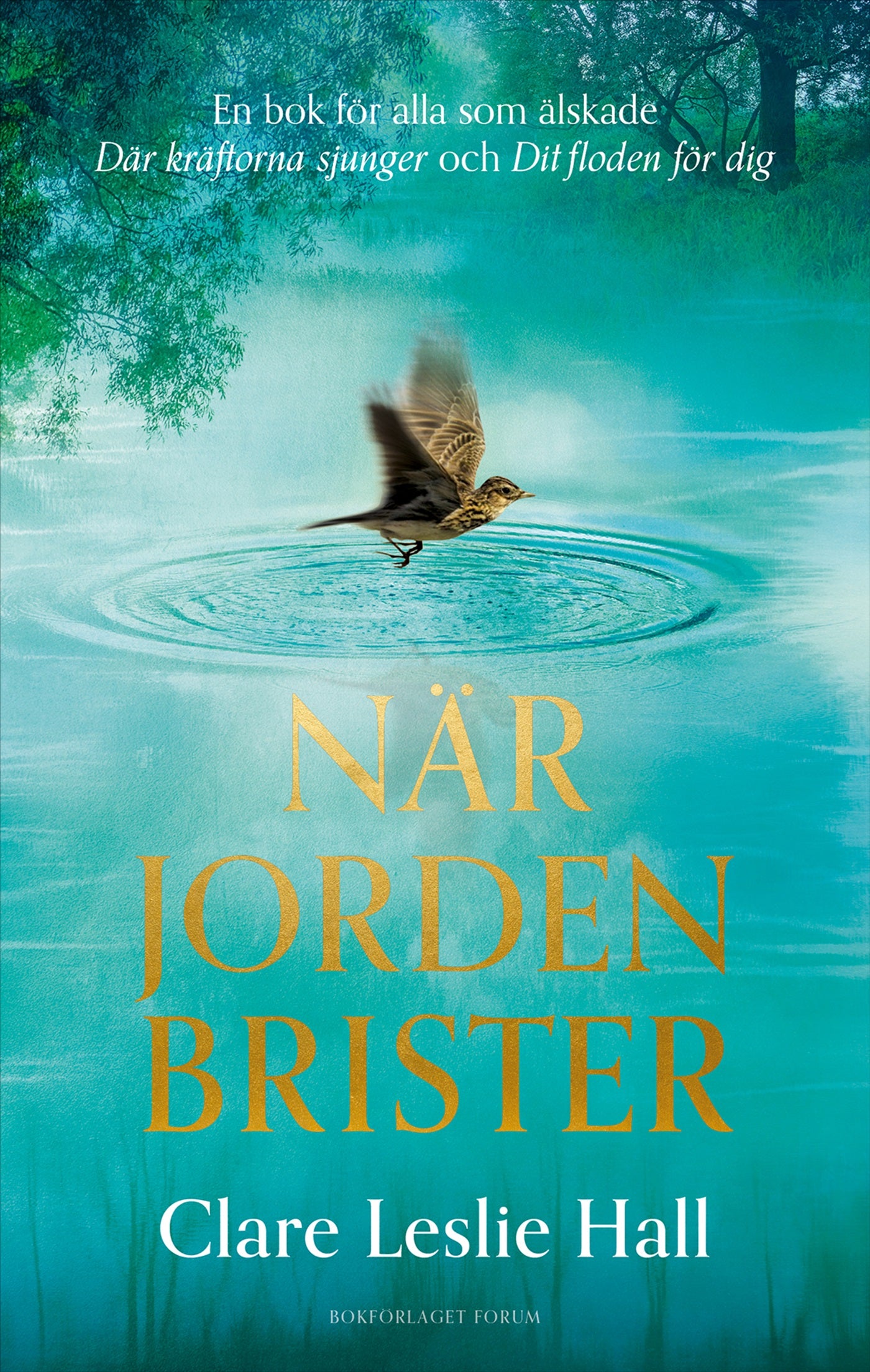 När jorden brister – E-bok