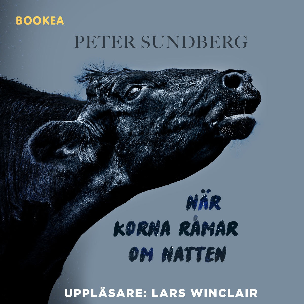 När korna råmar om natten – Ljudbok