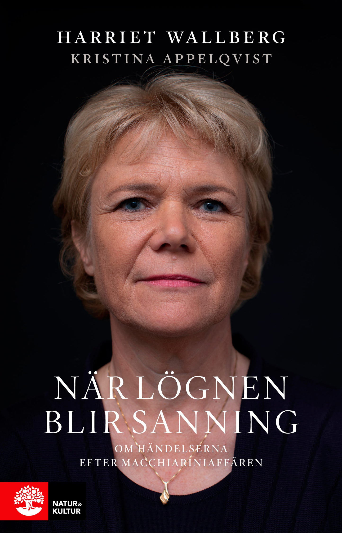 När lögnen blir sanning – E-bok