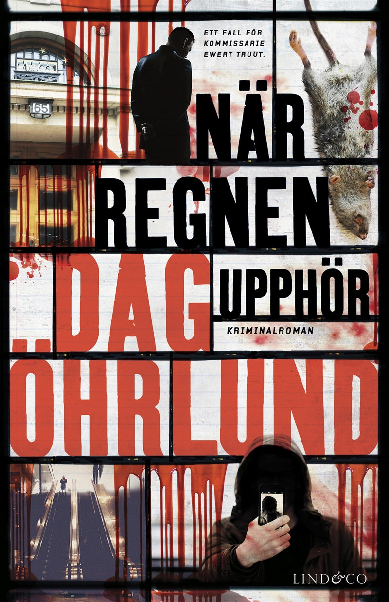När regnen upphör – E-bok